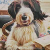 Tibetan Terrier Reading A Book Diamond Painting