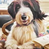 Tibetan Terrier Reading A Book Diamond Painting