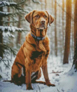 Vizsla In Snow Diamond Painting