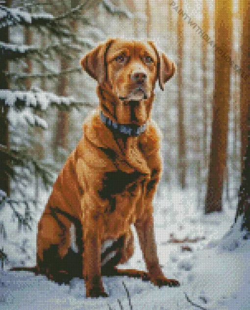 Vizsla In Snow Diamond Painting