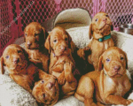 Vizsla Puppies Diamond Painting