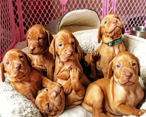 Vizsla Puppies Diamond Painting