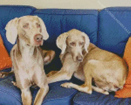 Weimaraner Dogs Diamond Painting