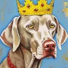 Weimaraner With Crown Diamond Painting