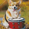 Welsh Corgi Playing A Drum Diamond Painting