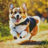 Welsh Corgis Running Diamond Painting