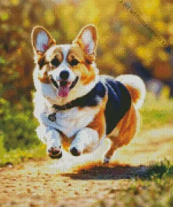 Welsh Corgis Running Diamond Painting