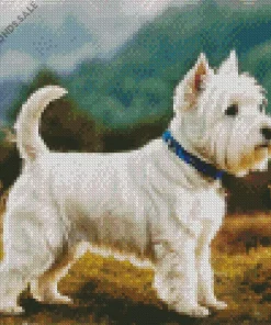 West Highland Terrier Dog Diamond Painting