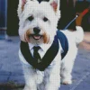 West Highland Terrier In Suit Diamond Painting