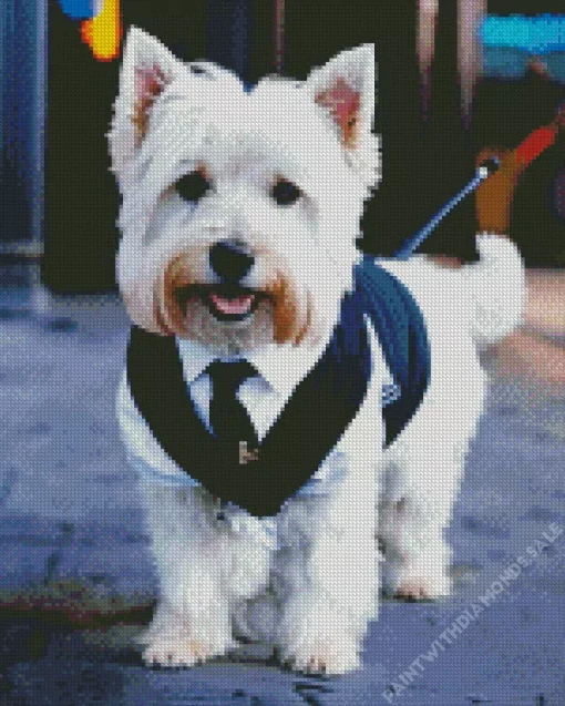 West Highland Terrier In Suit Diamond Painting