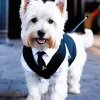 West Highland Terrier In Suit Diamond Painting