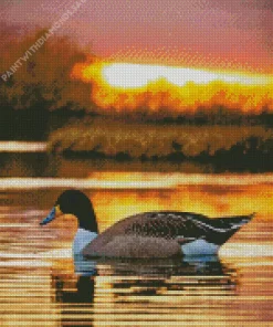 Wood Duck In Sunset Diamond Painting