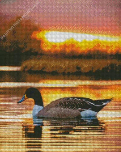 Wood Duck In Sunset Diamond Painting