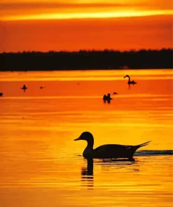 Wood Duck Silhouette Diamond Painting