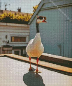 Wood Duck With Sunglasses Diamond Painting