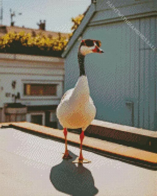 Wood Duck With Sunglasses Diamond Painting