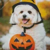 Zuchon Dog With Halloween Hat Diamond Painting