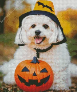 Zuchon Dog With Halloween Hat Diamond Painting