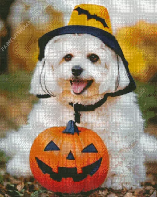 Zuchon Dog With Halloween Hat Diamond Painting