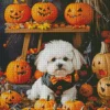 Zuchon Dog With Pumpkins Diamond Painting