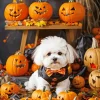 Zuchon Dog With Pumpkins Diamond Painting