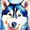 Abstract Husky Art Diamond Painting