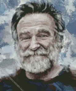 Abstract Robin Williams Art Diamond Painting