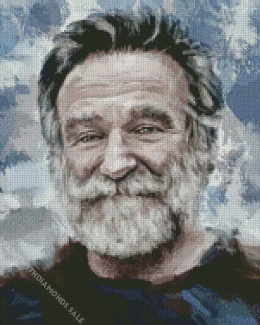 Abstract Robin Williams Art Diamond Painting