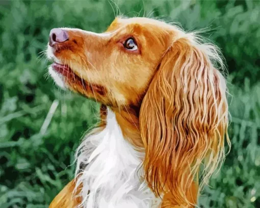 Adorable English Cocker Spaniel Diamond Painting