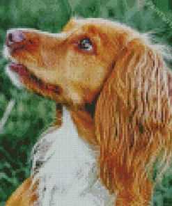 Adorable English Cocker Spaniel Diamond Painting