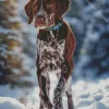 Adorable German Shorthaired Pointer Diamond Painting