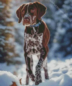 Adorable German Shorthaired Pointer Diamond Painting