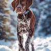 Adorable German Shorthaired Pointer Diamond Painting