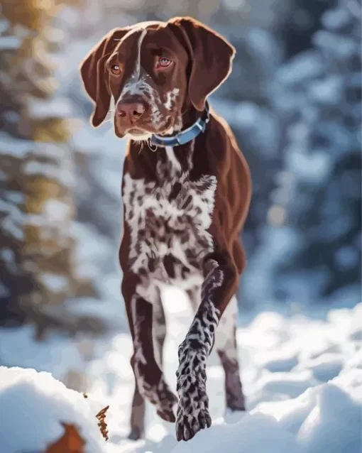 Adorable German Shorthaired Pointer Diamond Painting