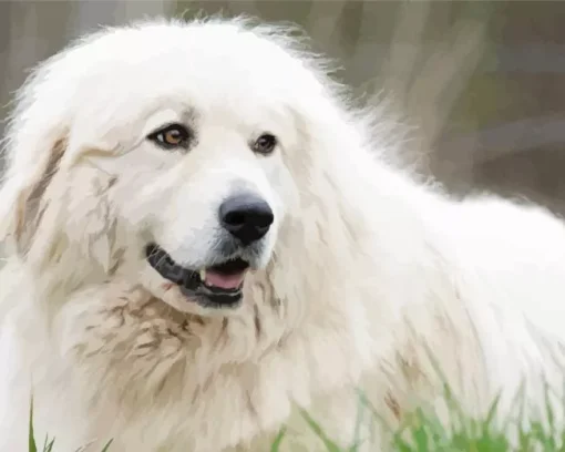 Adorable Great Pyrenees Diamond Painting