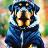 Adorable Rottweiler Diamond Painting