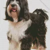 Adorable Tibetan Terrier Diamond Painting