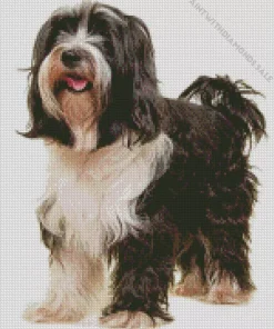 Adorable Tibetan Terrier Diamond Painting