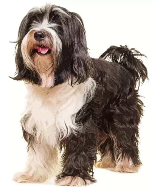 Adorable Tibetan Terrier Diamond Painting