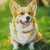 Adorable Welsh Corgi Diamond Painting