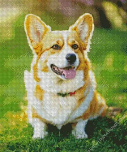 Adorable Welsh Corgi Diamond Painting