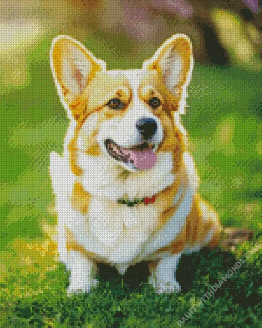 Adorable Welsh Corgi Diamond Painting