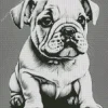 Baby Bulldog Diamond Painting