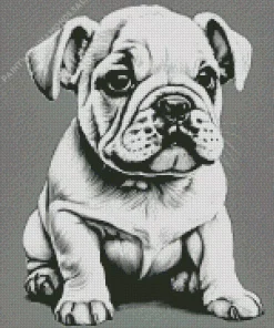 Baby Bulldog Diamond Painting