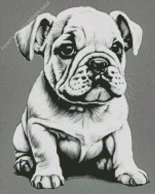 Baby Bulldog Diamond Painting