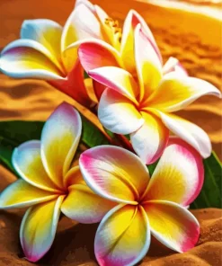 Beach Frangipani Flowers Diamond Painting