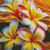 Beach Frangipani Flowers Diamond Painting