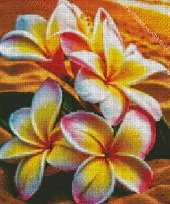 Beach Frangipani Flowers Diamond Painting