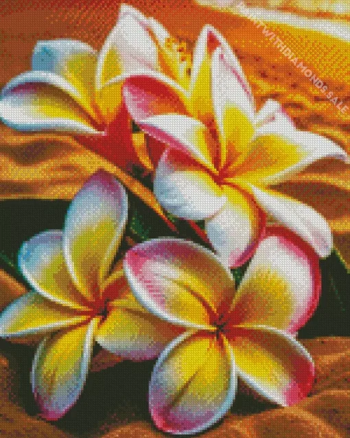 Beach Frangipani Flowers Diamond Painting