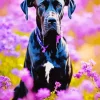 Black German Shorthaired Pointer Diamond Painting